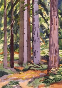 Illingworth Holey (Buck) Kerr: YOUNG REDWOODS