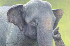 Robert McLellan Bateman: BURMESE ELEPHANT