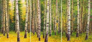 Keith Thomson: FOREST INTERIOR (triptych)