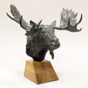 Fred Cameron: MOOSE