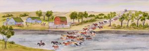 Irene E. McCaugherty: BUCKING STOCK
