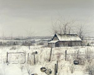 Tinyan (Chan): WINTER FARMYARD