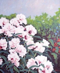 Hans Herold: RHODODENDRONS