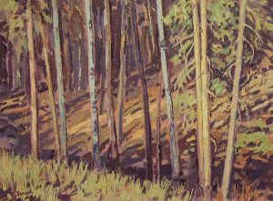 William (Bill) Duma: TREE PATTERNS