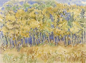 Dora Helen Mackie: POPLAR WOODS