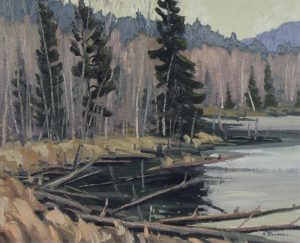 William Parsons: MADAWASKA BACKWATER