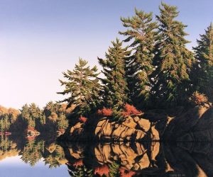 E. Robert Ross: FREELAND LAKE