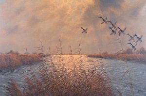 J. G. van der Meide: MALLARDS IN FLIGHT