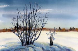 Colin D. Graham: YOUNG OAK