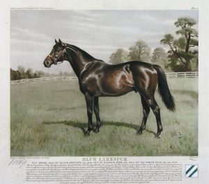 Franklin Brooke Voss: BLUE LARKSPUR
