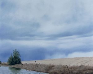 Ted Raftery: HARVEST STORM