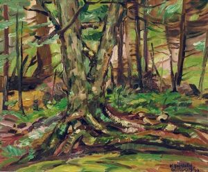 Kenneth Gordon: YELLOW BIRCH, ALGONQUIN