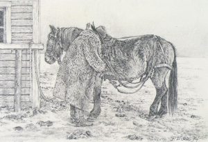 Patrick Douglass Cox: TACKSHED