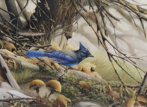 Lloyd Barnes: BIRD SITTER