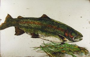 Jack Lee Cowin: NYMPHING RAINBOW (WESTERN TROUT SERIES)