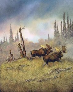 Milton Achtimichuk: BULL MOOSE