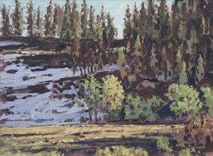 William (Bill) Duma: HILLSIDE & SNOW PATCHES