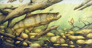 Karl A. Geist: TROUT FEEDING