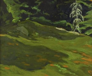 Edwin Headley Holgate: DEAD SPRUCE, LAURENTIANS