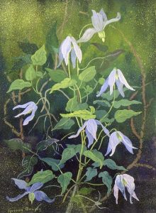 Annora Brown: PURPLE FLOWERS