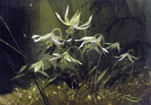 Geoffrey Allan Rock: DOG’S TOOTH VIOLETS