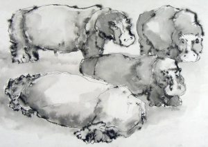 Dora Helen Mackie: HIPPOS