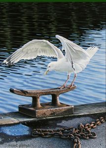 Mark Francis: ON THE DOCK