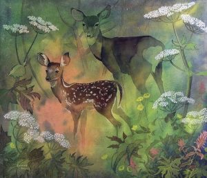 Annora Brown: FOOTHILLS MEADOW
