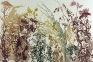 Mary Jo Major: WOLF CREEK FLORA  |  WOLF CREEK FLORA II