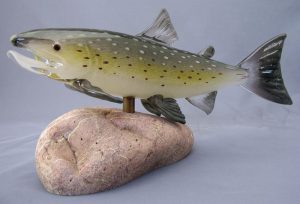 Pat Bavin and Ryan Bavin: DOLLY VARDEN (FRESHWATER FISH OF WESTERN CANADA SERIES)