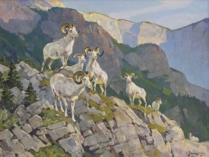Carl Clemens Moritz Rungius: OVIS DALLI RAMS, CANYON OF THE SOUTH NAHANNI, N.W.T.