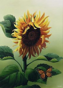Bob Barnes: SUNFLOWER