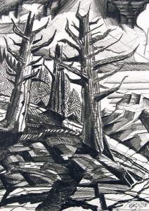 David Pugh: DOUGLAS FIR VI
