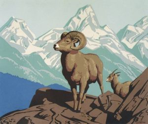 Alfred Joseph Casson: BIGHORN SHEEP