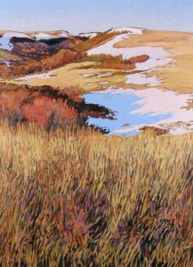 Shelley McMillan: THE RAVINE