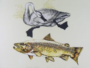 Jack Lee Cowin: DUPUY’S SPRING CREEK