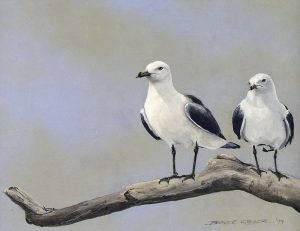 Bruce Cryer: BIRDS ON A BRANCH