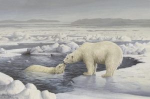 Marla Wilson: POLAR BEARS