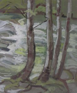 Ina D. D. Uhthoff: TREE TRUNKS