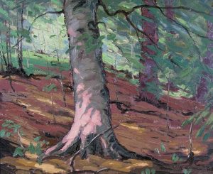William Parsons: BEECHWOODS