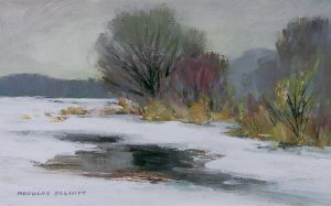 Douglas Ferguson Elliott: SILENT ADAGIO