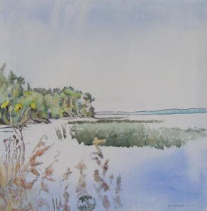 Dorothy Elsie Knowles: SERENITY WITH A SOW THISTLE