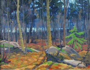 William Parsons: NORTHERN BUSH, ROCK LAKE, ALGONQUIN PARK