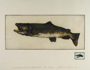 Jack Lee Cowin: FIREHOLE BROWN (WESTERN TROUT SERIES)