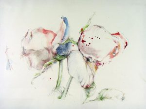 Dirk van Wyk: FLOWERS