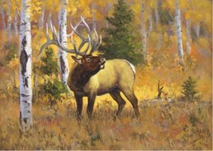 John T. Jones: ELK I & ELK II