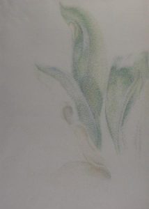 Lionel LeMoine FitzGerald: PLANT LEAVES