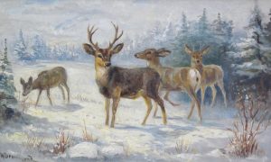 Norah (Nora) Drummond-Davies: DEER