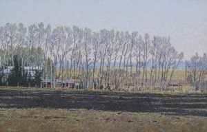 Walter Drohan: RURAL SKYLINE