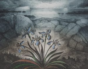 David Lloyd Blackwood: JUNE VISIT